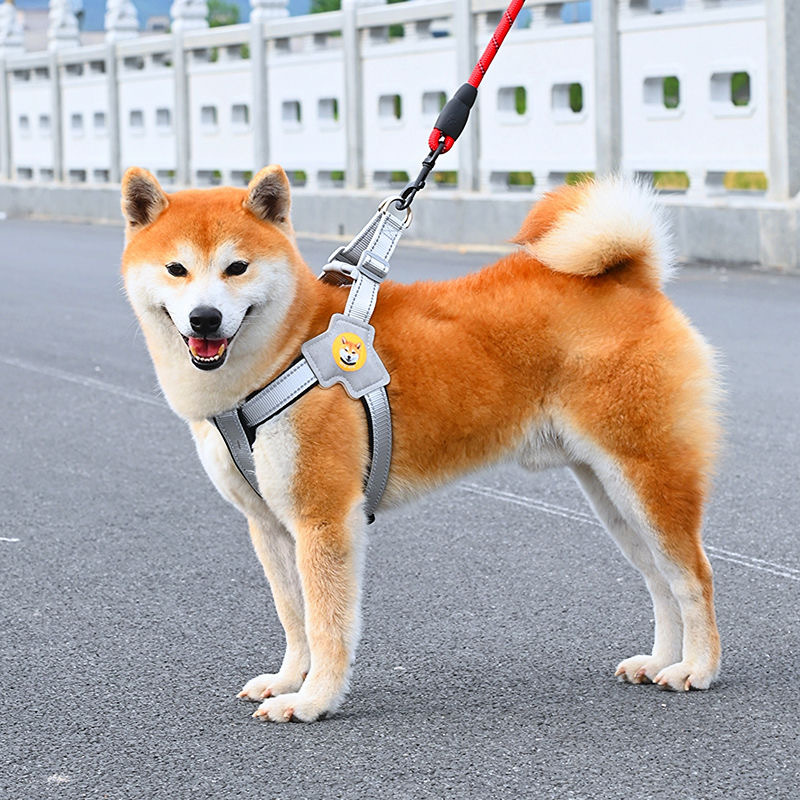https://fulmo-img-server.com/wonderfulharness/0549dbc0-354a-4d84-8bb1-c0e044c7cfa1.jpg