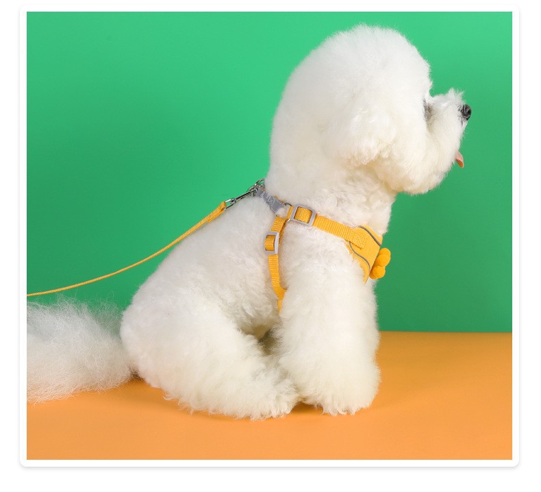 犬 ハーネス やさしい花咲くデイリーハーネス