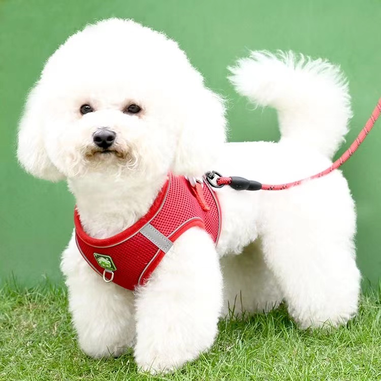 犬 ハーネス メッシュ通気性ハーネス
