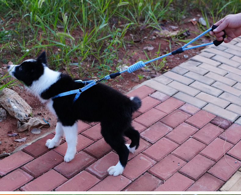 犬 ハーネス やさしさ結ぶ 散歩ハーネス