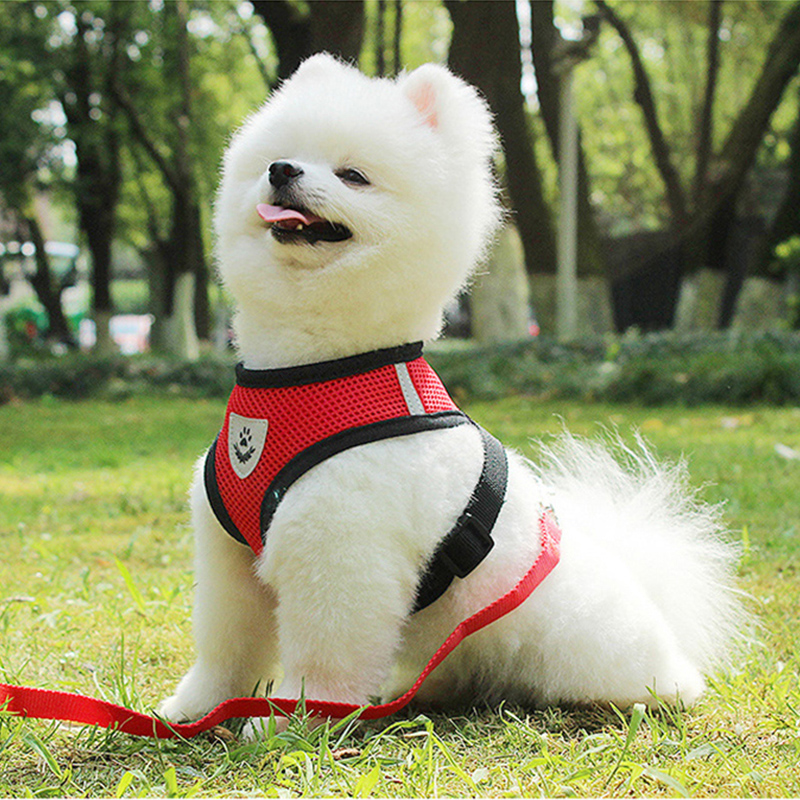 犬 ハーネス やさしい呼吸メッシュハーネス