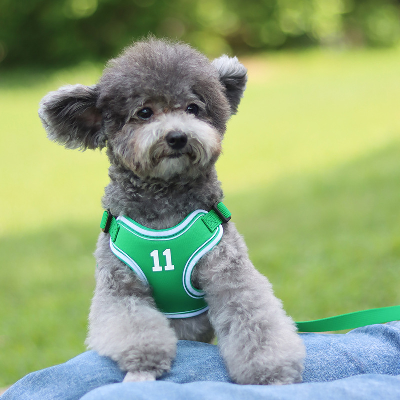 犬 ハーネス スポーティ背番号ハーネス