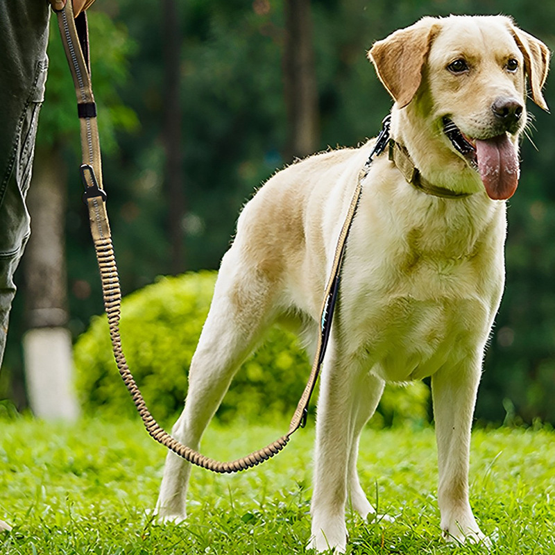 犬 ハーネス 伸縮性抜群 安心ハーネス