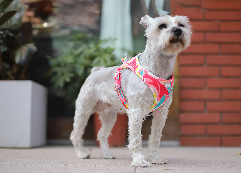犬 ハーネス 散歩が楽しくなる 軽やかメッシュハーネス