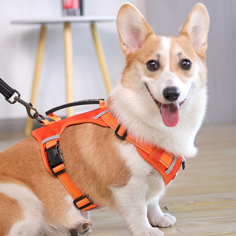 犬 ハーネス やさしさ包む ふんわりハーネス