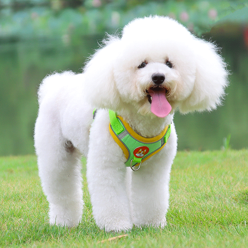 犬 ハーネス やさしい散歩ハーネス＆リードセット