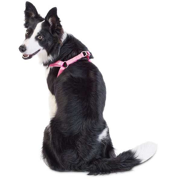 犬 ハーネス やさしさ包むふんわりハーネス