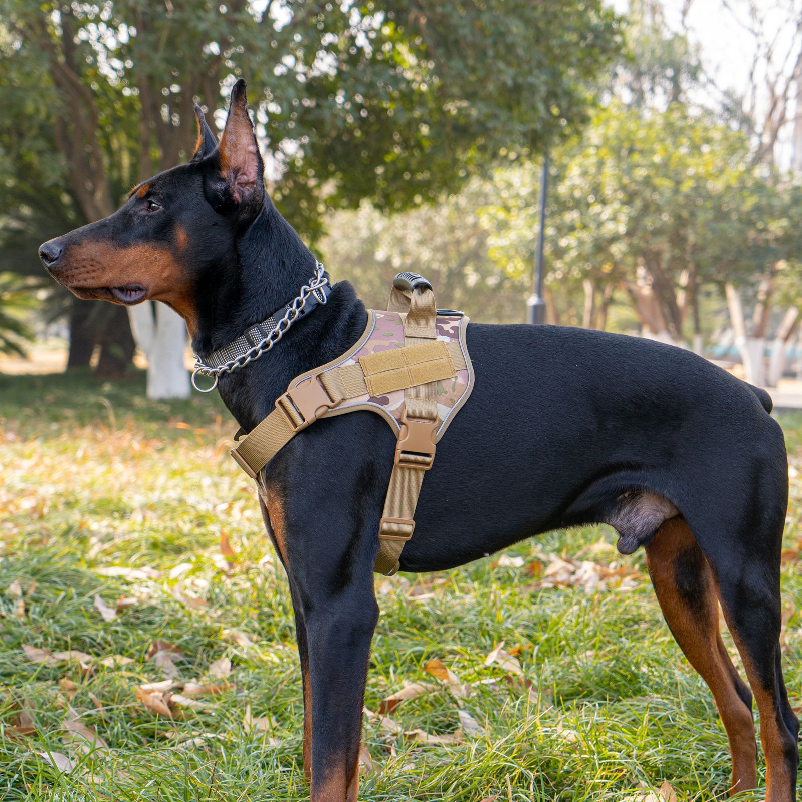 犬 ハーネス 大型犬用 フィット感抜群 サポートハーネス