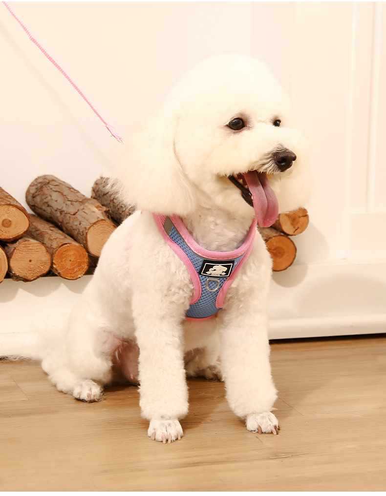 犬 ハーネス やわらか快適メッシュハーネス