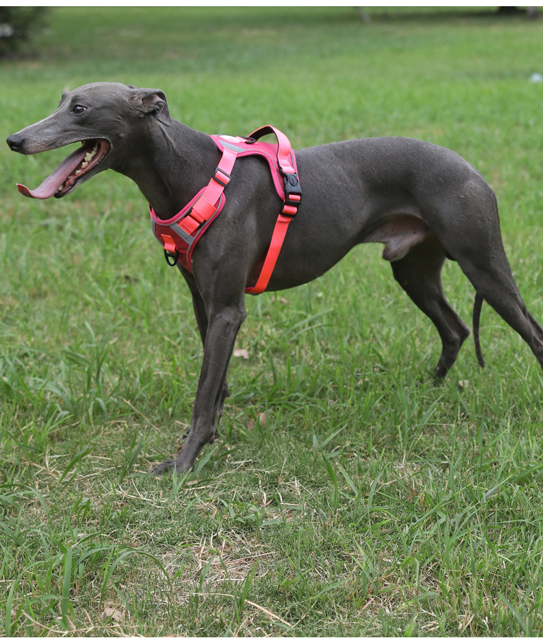 犬 ハーネス 柔らか通気メッシュ快適ハーネス