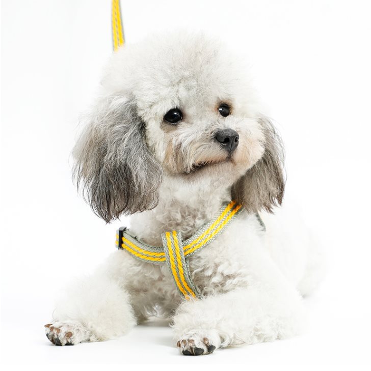 犬 ハーネス やさしい呼吸ハーネス
