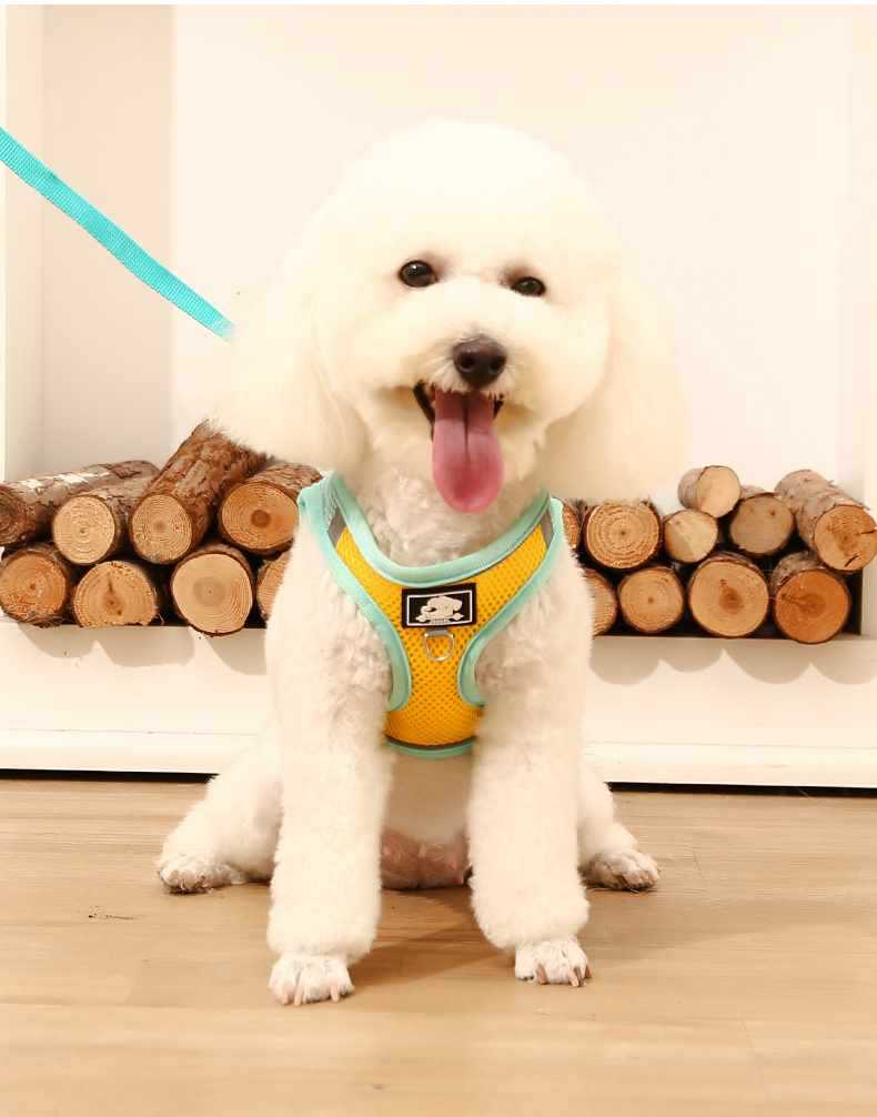 犬 ハーネス やわらか快適メッシュハーネス