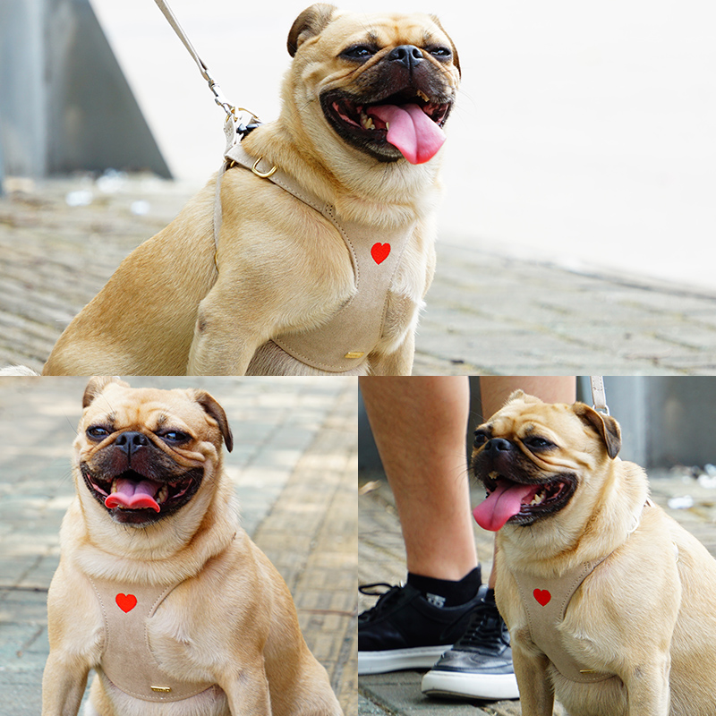 犬 ハーネス 愛らしいハート ソフトフィットハーネス