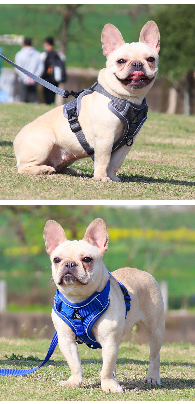 犬 ハーネス やさしいフィット 軽量ハーネス