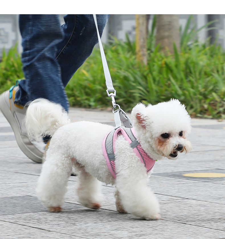犬 ハーネス メッシュ通気性ハーネス