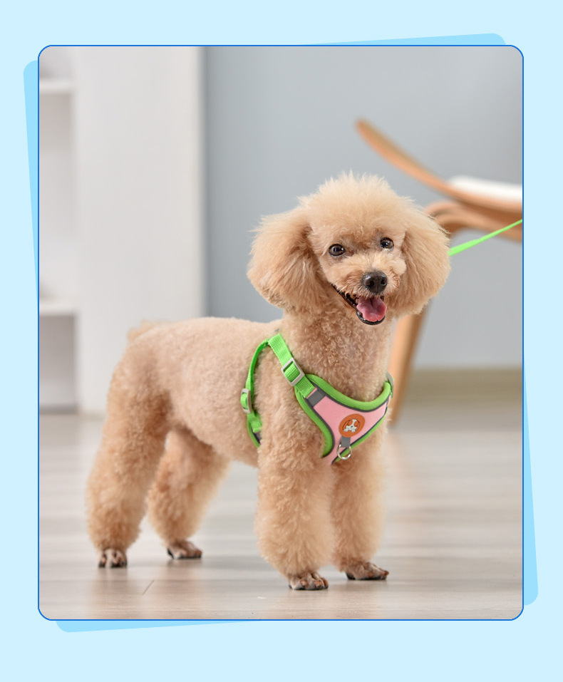 犬 ハーネス やわらか快適ハーネス