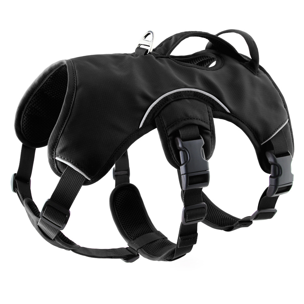 https://fulmo-img-server.com/wonderfulharness/091fea75-c850-4dc5-a346-1d87cdd22a01.jpg