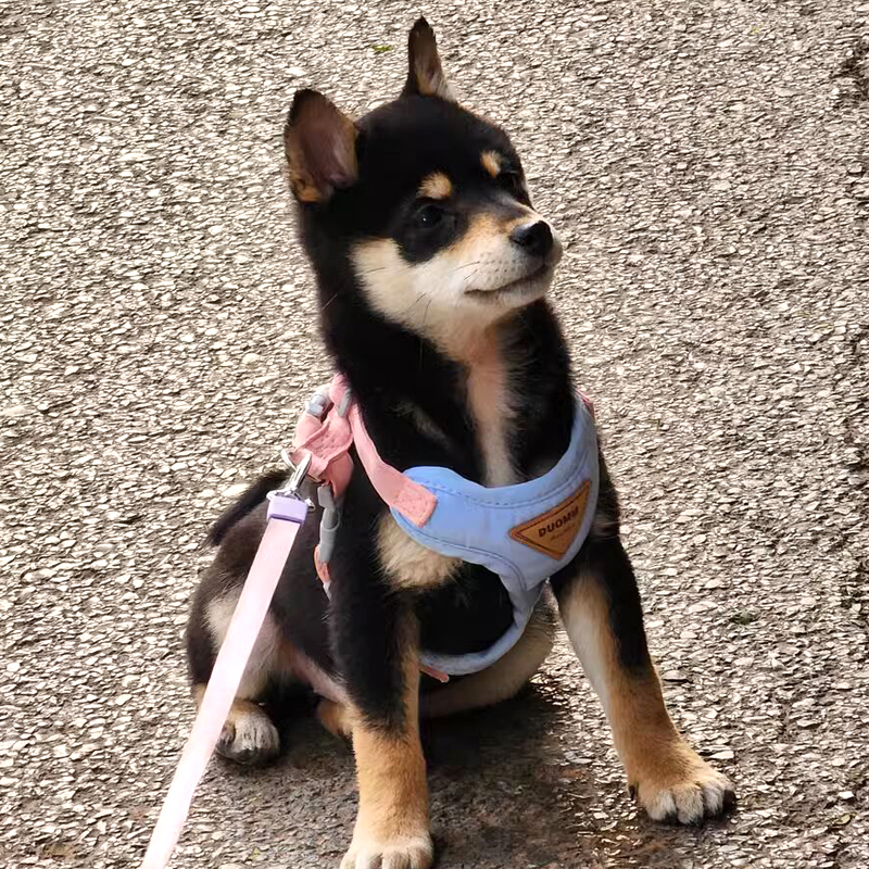 犬 ハーネス やさしさ包む ふわふわベストハーネス