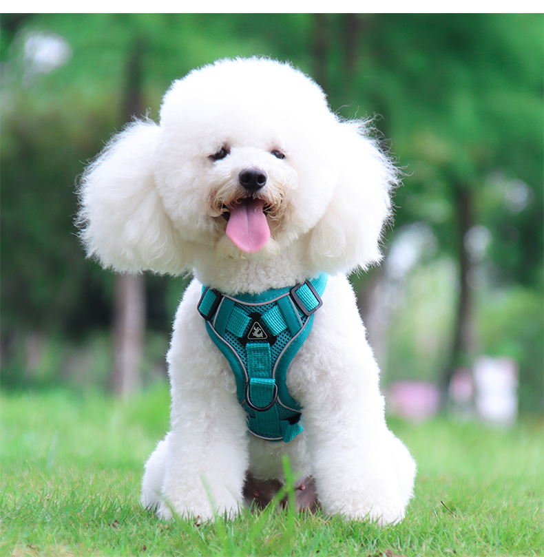 犬 ハーネス やさしフィット 軽量ハーネス