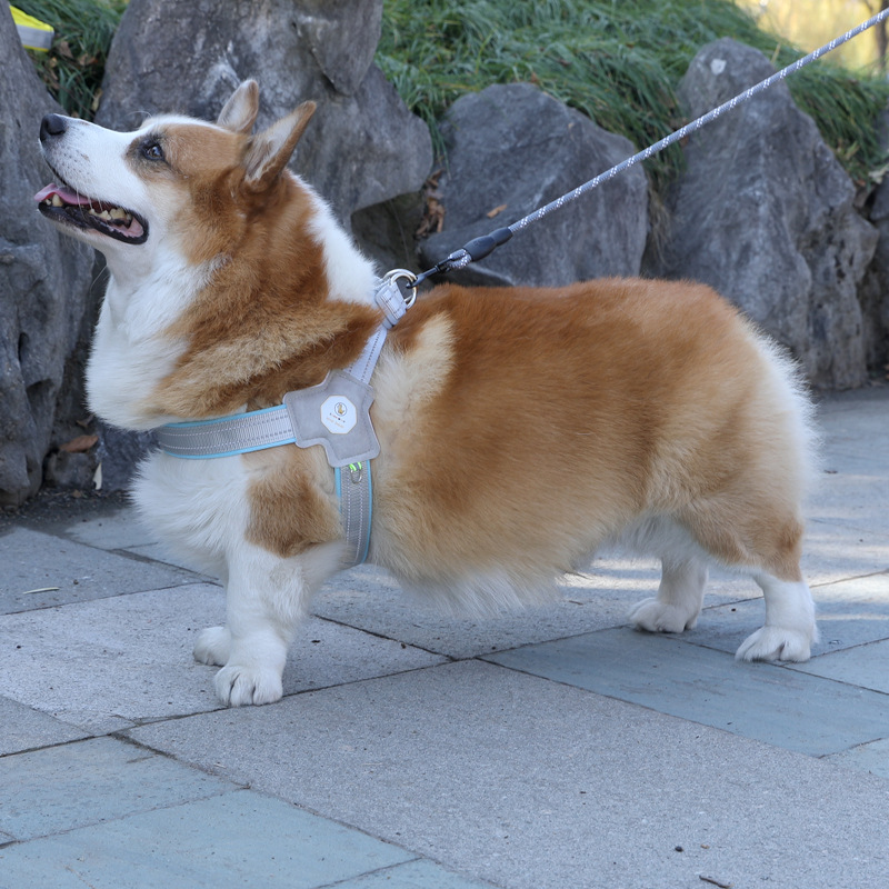 犬 ハーネス やさしい風ハーネス