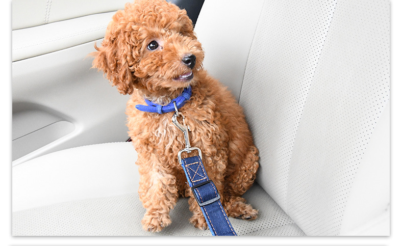 犬 ハーネス ペット用シートベルト安全ストラップ