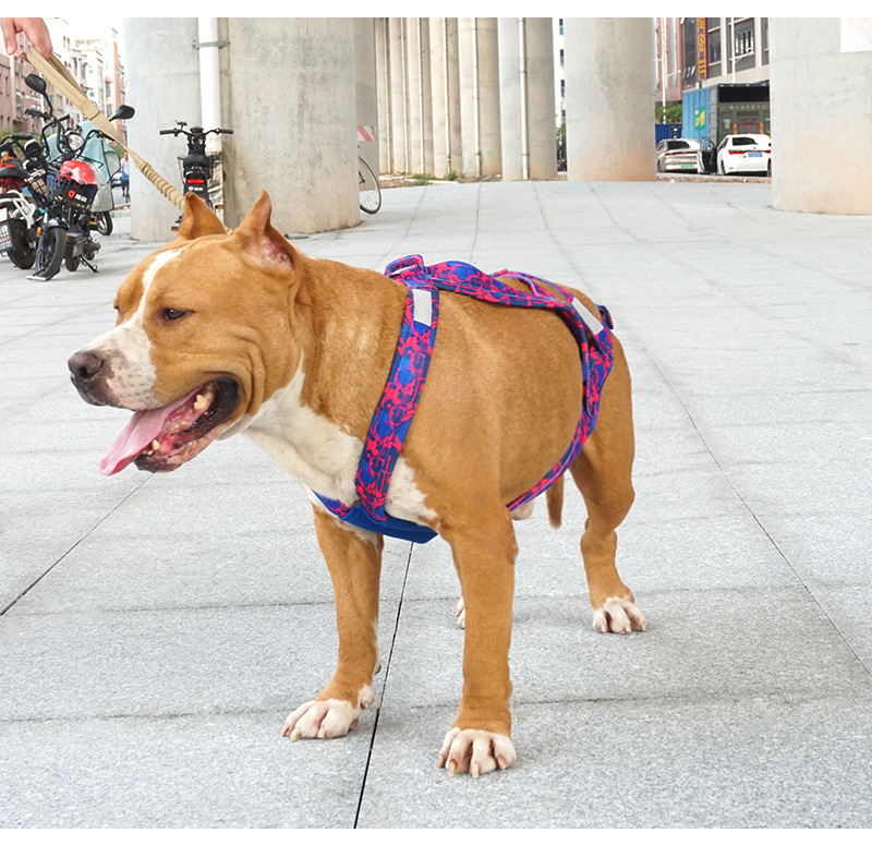 犬 ハーネス 職人技が光る快適あわせハーネス