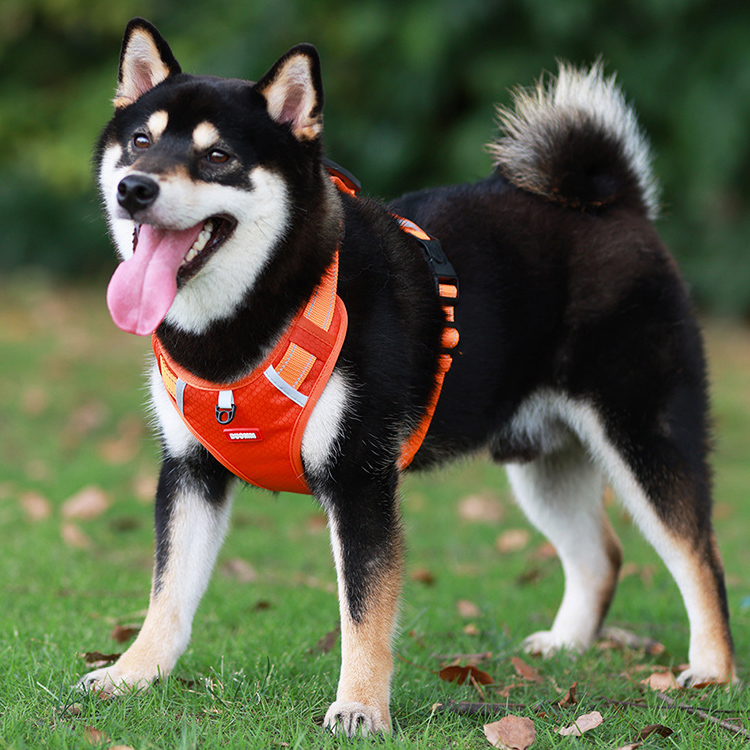 犬 ハーネス 快適支持 胸あて式ハーネス