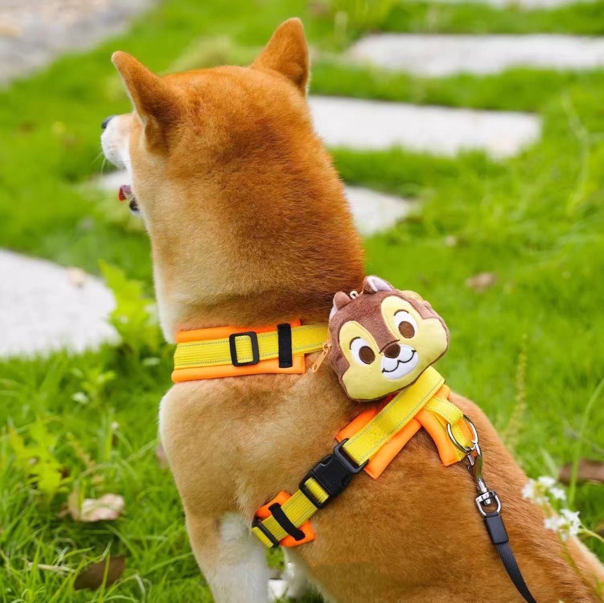 犬 ハーネス ディズニーキャラクター なりきりハーネス