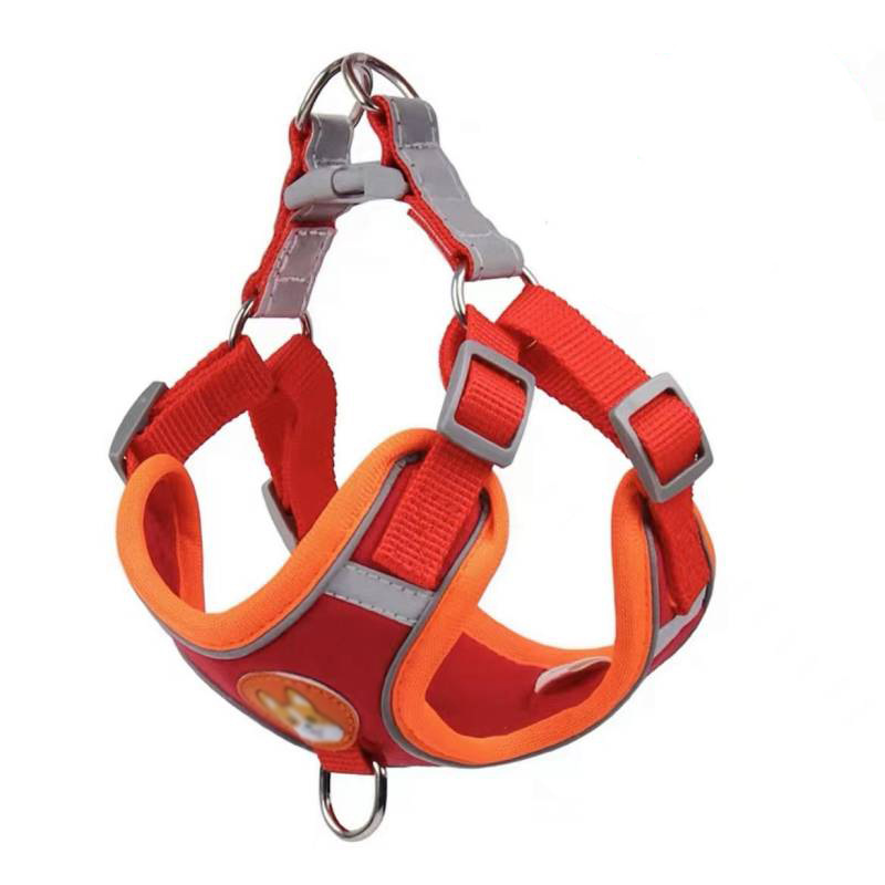 https://fulmo-img-server.com/wonderfulharness/099ad7b8-f23b-4034-8c01-67c8b1371964.jpg