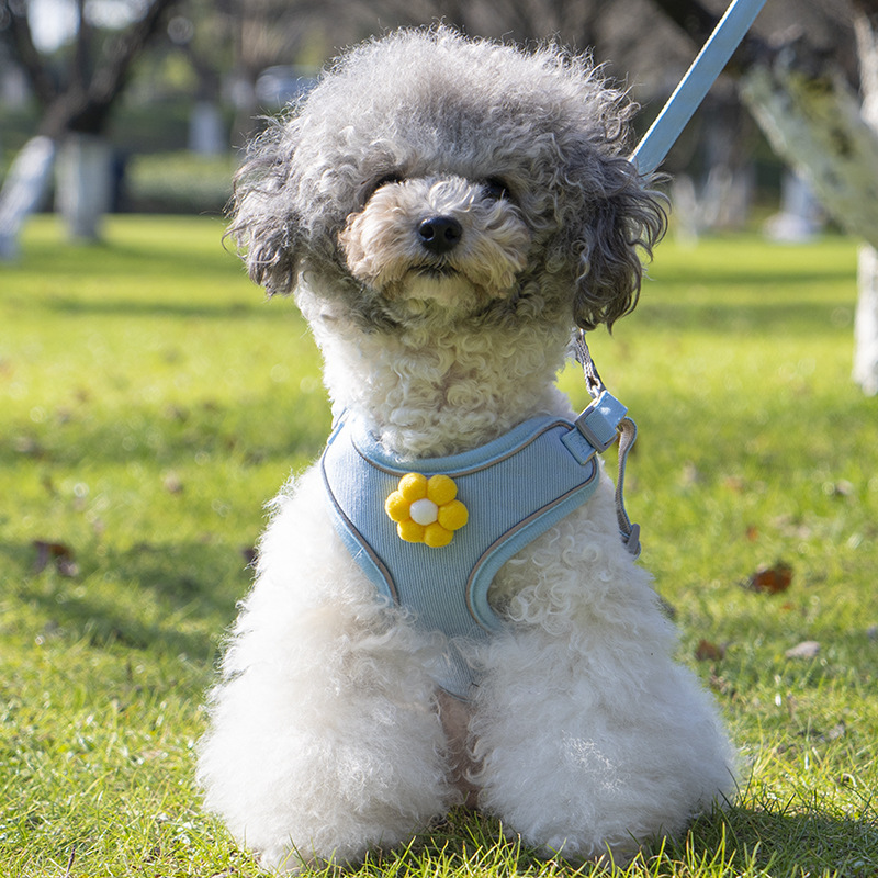 犬 ハーネス 優美な装いリボン付きハーネス