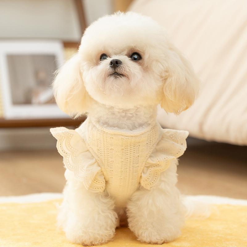 犬 ハーネス レース付きニットベスト