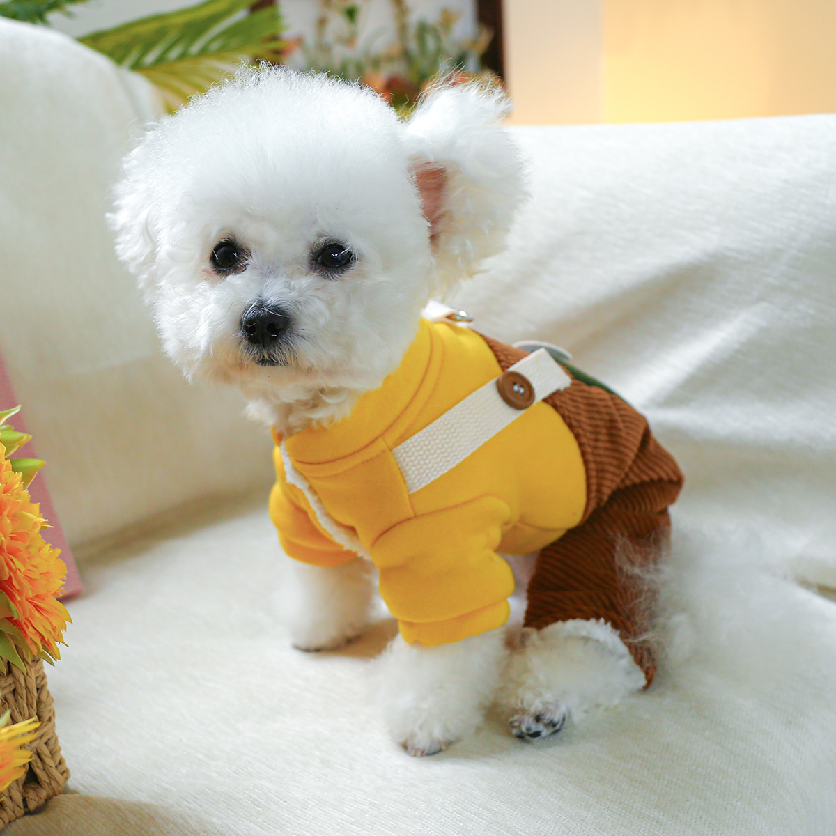 犬 ハーネス 生成エラーです