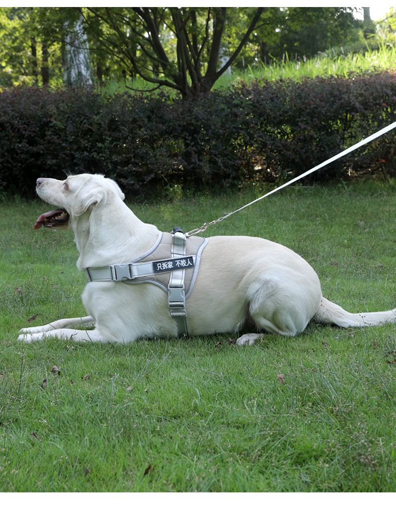 犬 ハーネス やさしさ包む 通気快適ハーネス