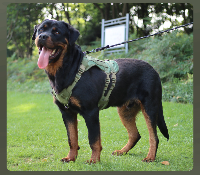 犬 ハーネス フィット感抜群 らくらくハーネス