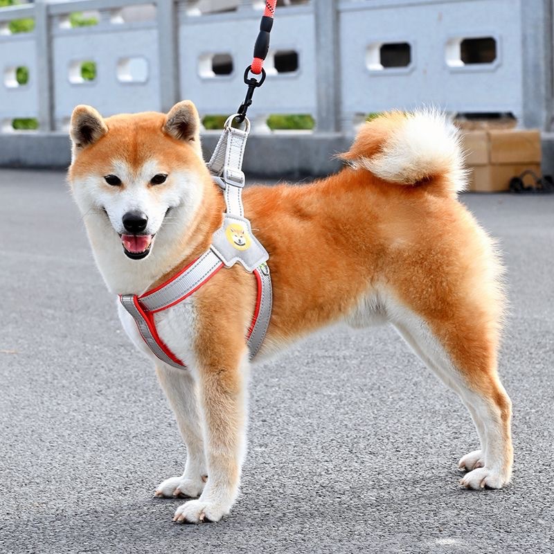 https://fulmo-img-server.com/wonderfulharness/0b47bca0-b37d-4a6e-a1e3-d776d9a0efcb.jpg