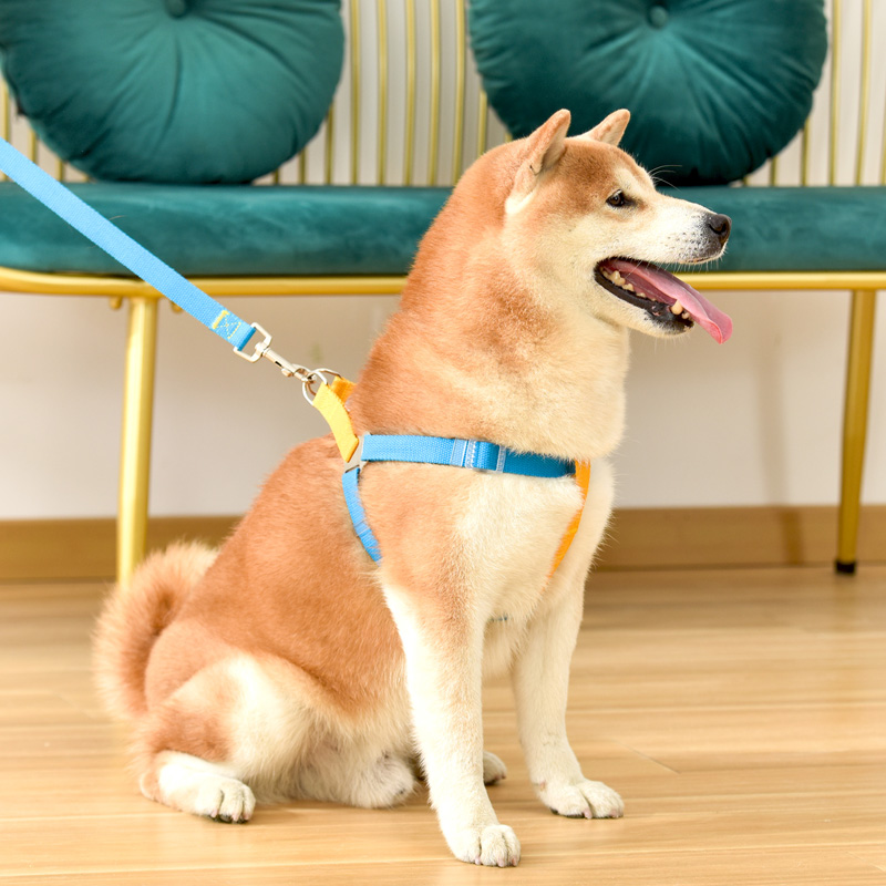 犬 ハーネス やさしさ包む シンプル基本ハーネス