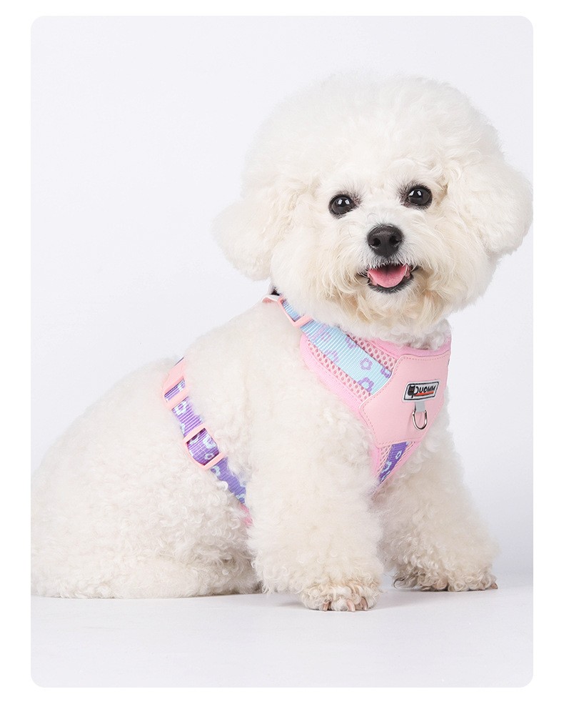 犬 ハーネス やさしい呼吸メッシュハーネス