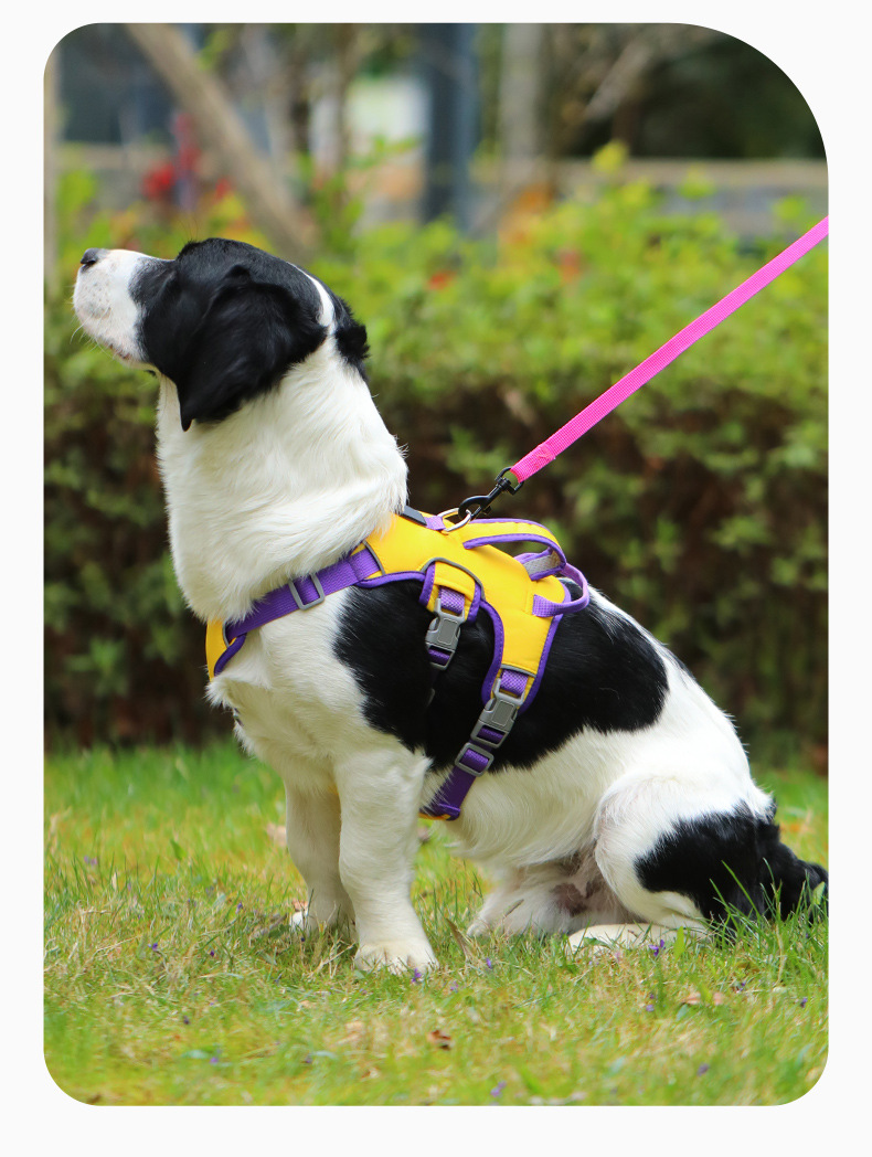 犬 ハーネス かぎ付きソフト胴輪