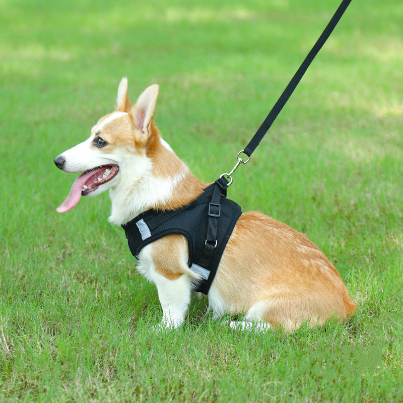 犬 ハーネス 快適ワンタッチ 通気メッシュハーネス