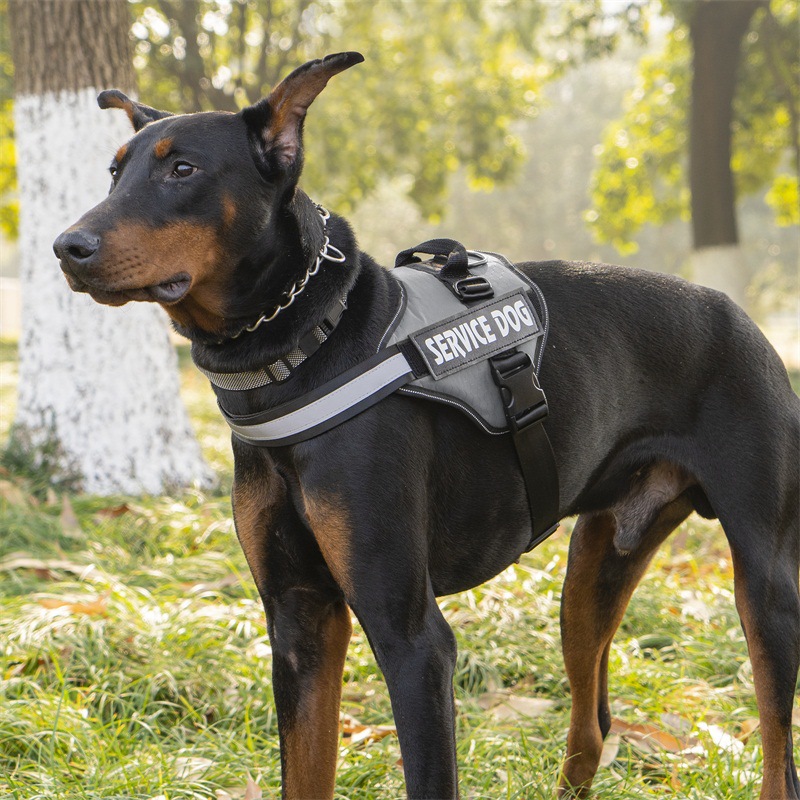 犬 ハーネス 介助犬用ソフトフィットハーネス