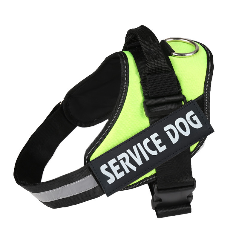 https://fulmo-img-server.com/wonderfulharness/0c4d0ee7-cc24-45fe-9f88-4960a8803b7b.jpg