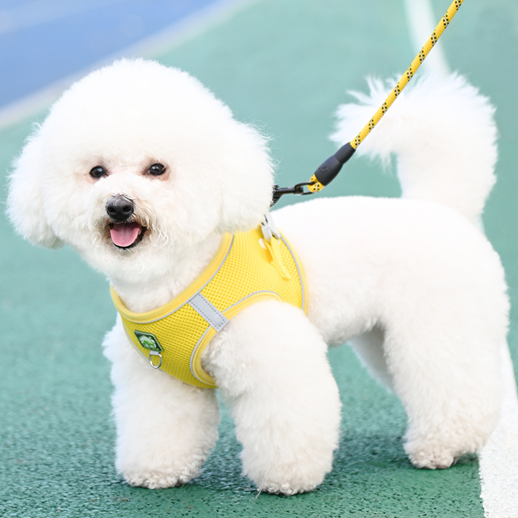 犬 ハーネス やさしい呼吸メッシュハーネス