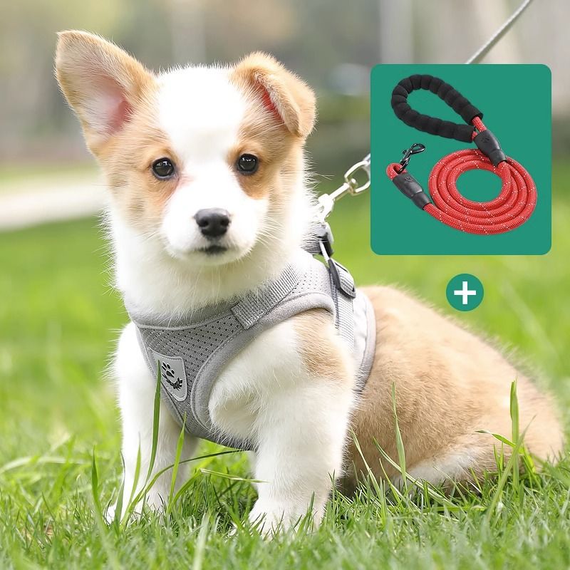 https://fulmo-img-server.com/wonderfulharness/0c7beda0-0290-4001-86b5-9a773e05bc6f.jpg