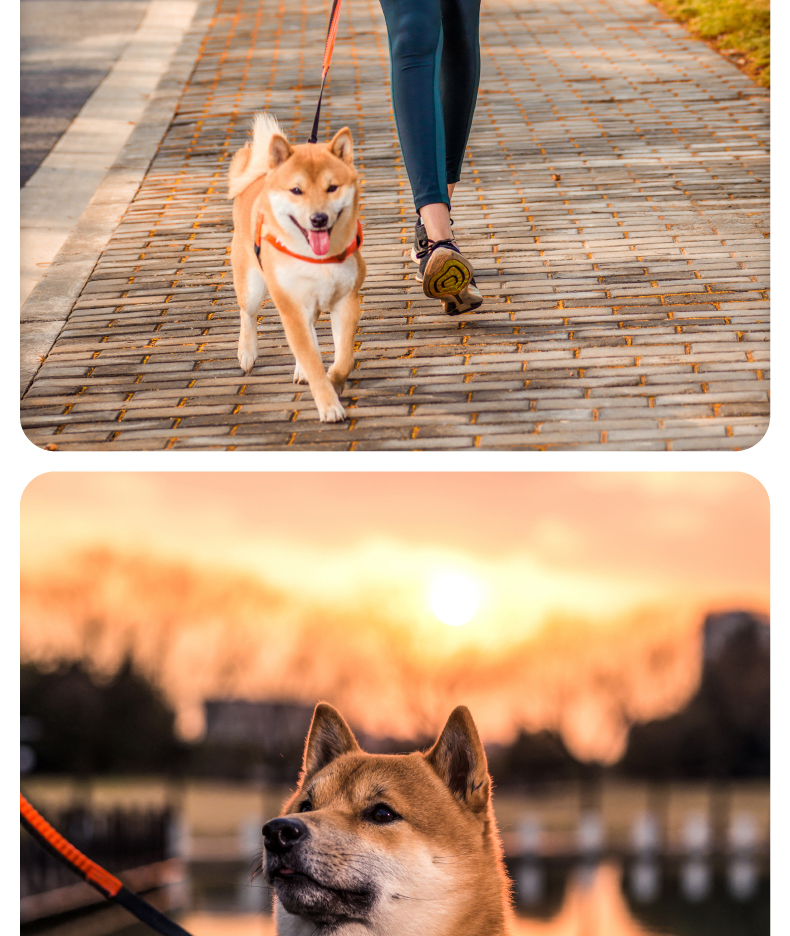 犬 ハーネス なめらか快適 ベーシックハーネス