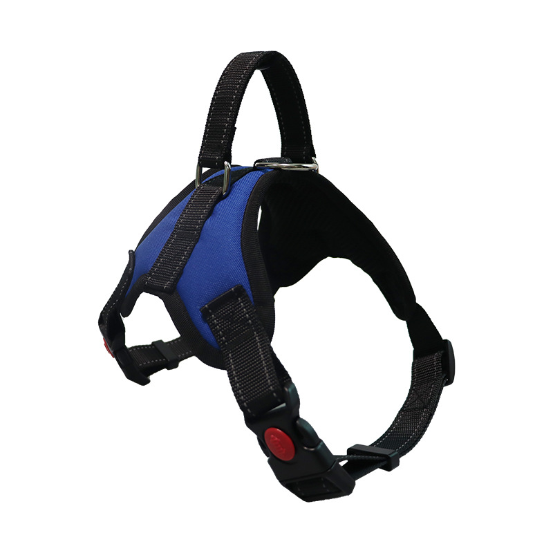 https://fulmo-img-server.com/wonderfulharness/0d2d4ed1-e8c3-4f2f-8574-1c04bd844688.jpg