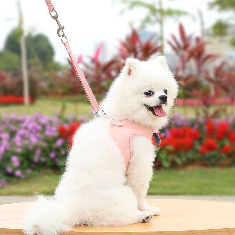 https://fulmo-img-server.com/wonderfulharness/0d4537f0-7f5c-40df-9409-c983ab4f3712.jpg