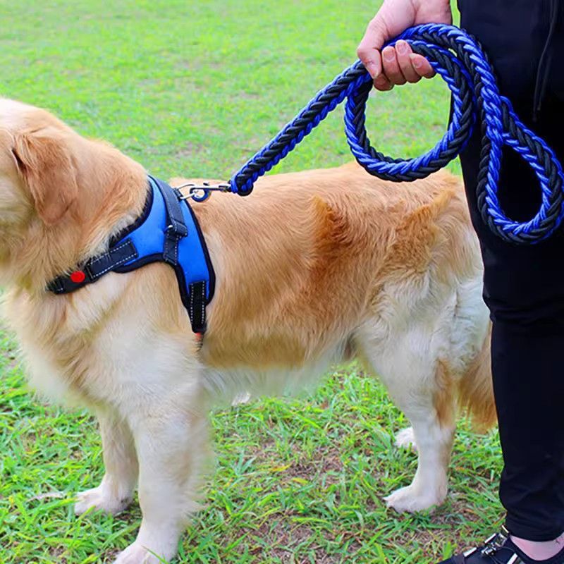 犬 ハーネス やさしくつかむ安心ハーネス