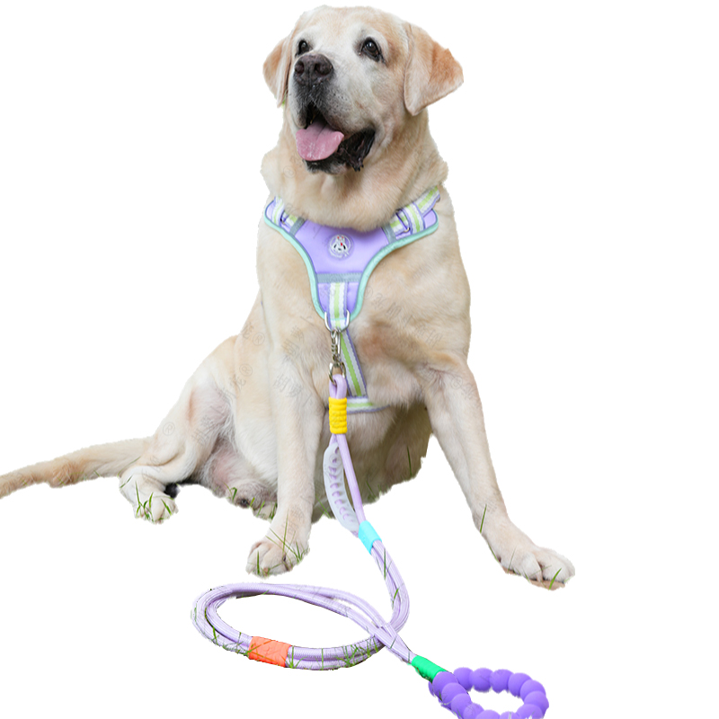 犬 ハーネス シンプル機能美 リラックスハーネス