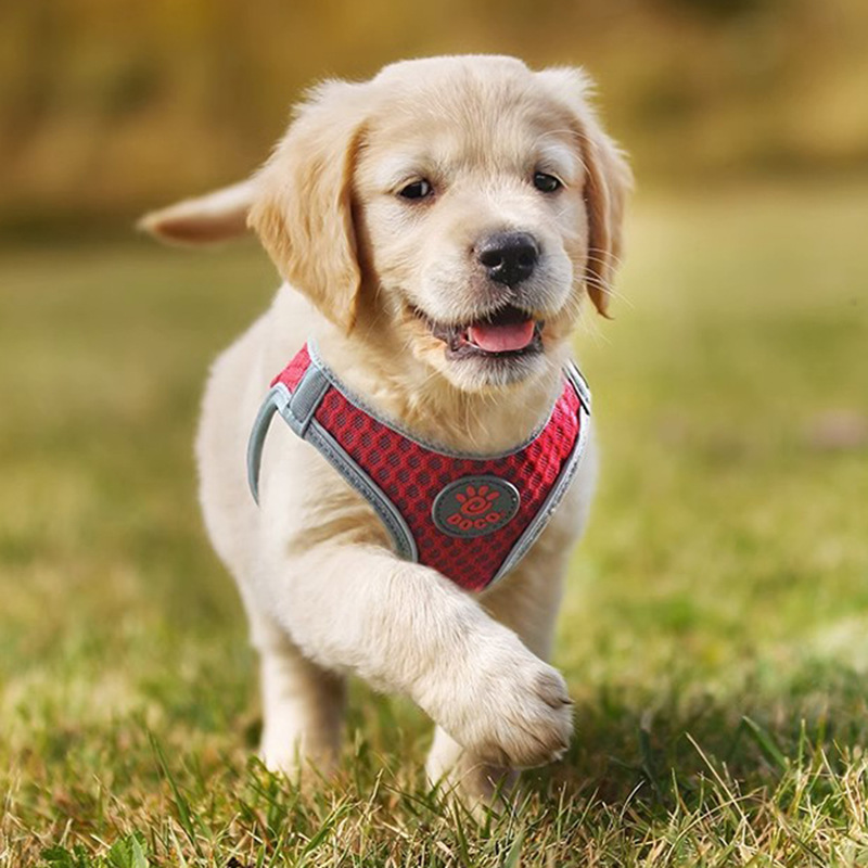 犬 ハーネス メッシュ通気ハーネス 快適散歩