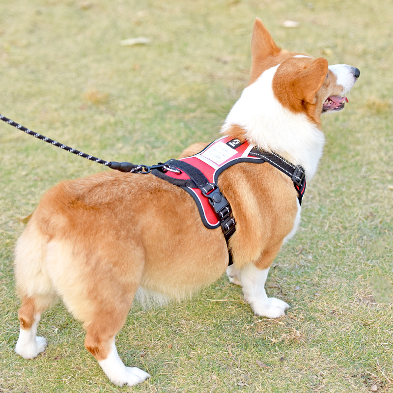 犬 ハーネス ペット職人の匠ハーネス